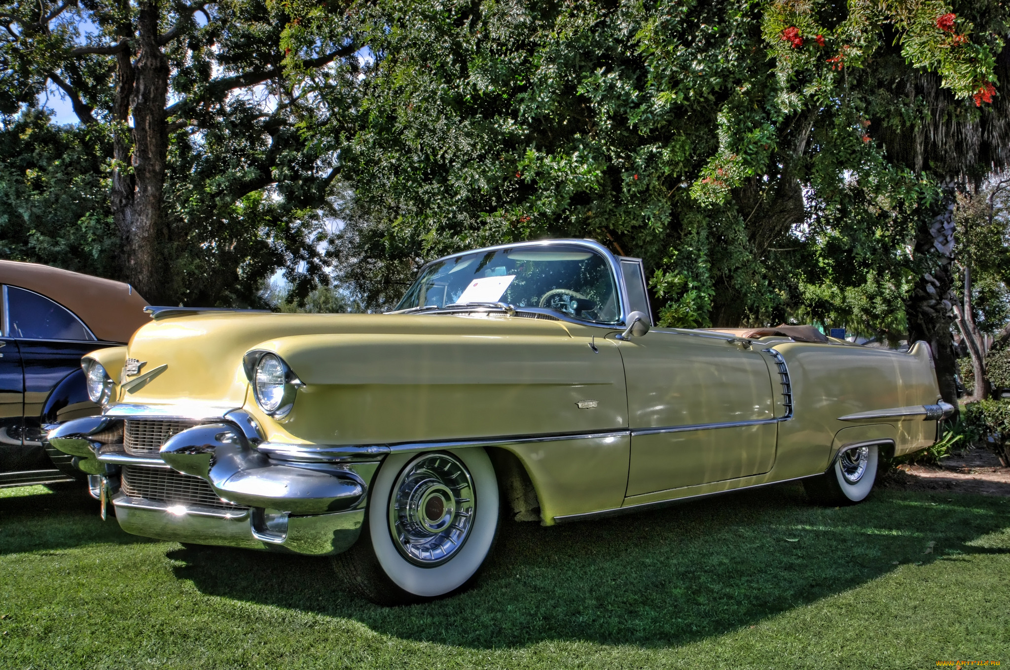 1956 cadillac serie 62 convertible, ,    , , 